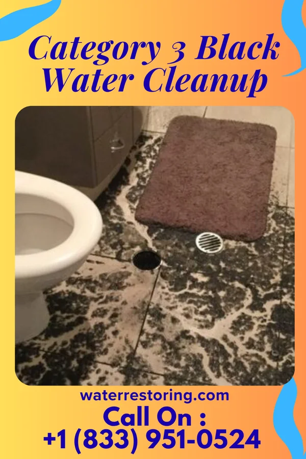 Category 3 Black Water Cleanup in Countryside, IL